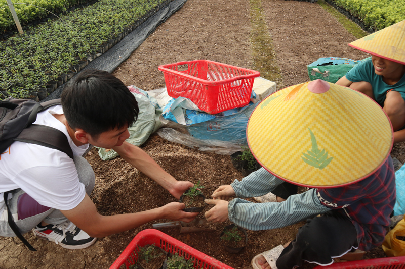 图7：电子科技大学中山学院红延队队员走进横栏镇六沙村调研，在合生围花木基地体验袋苗种植（电子科技大学中山学院红延队供图）.JPG