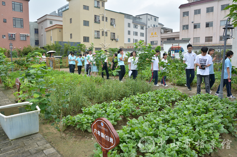 图7：实践团实地参观穗成农业科普园有机肥试验田，种植蔬菜所用的有机肥为村内实现垃圾分类后由厨余垃圾进行系统收集、发酵所生产（摄影：蓝子键）副本.jpg