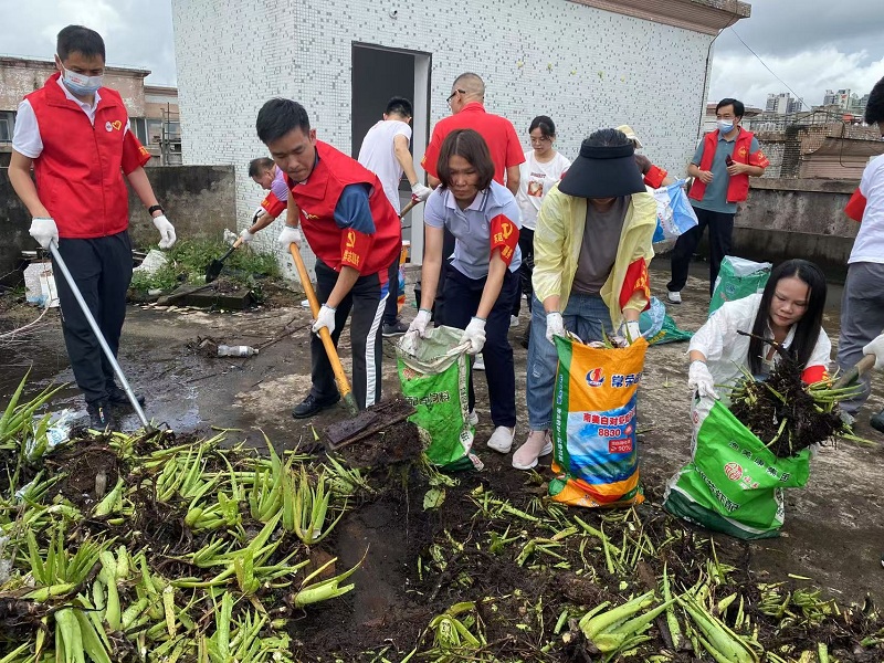 1753757928912645.jpg 清理居民楼顶天台杂草杂物2.jpg