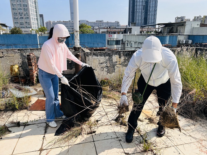 1753758052119169.jpg 清理居民楼顶天台杂草杂物4.jpg