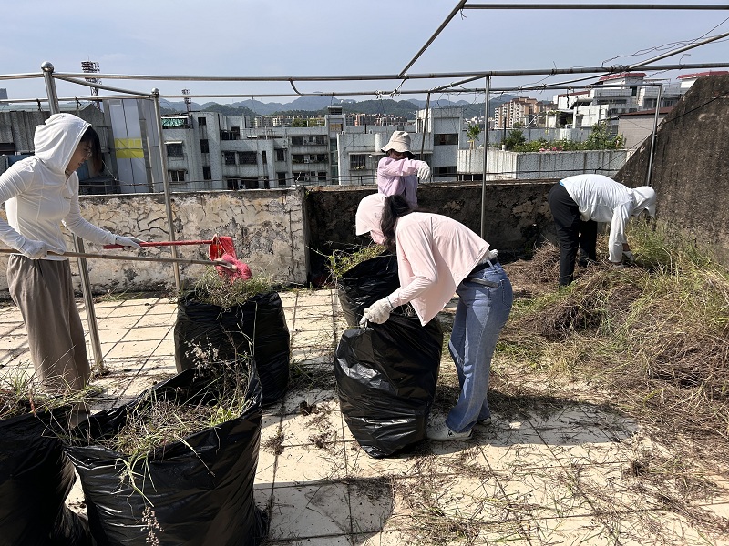 1753758191943980.jpg 清理居民楼顶天台杂草杂物5.jpg