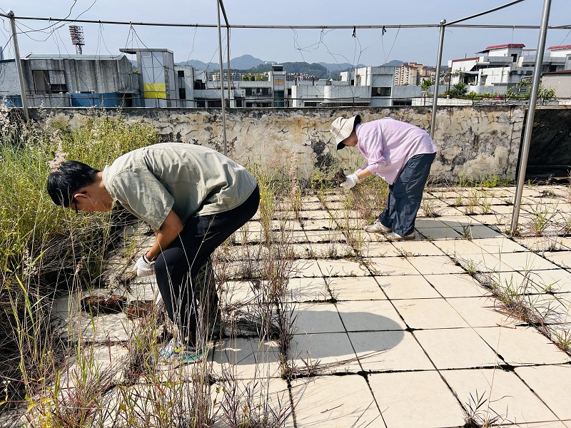 1753758226794731.jpg 清理居民楼顶天台杂草杂物6.jpg