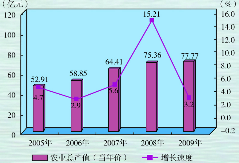 农业总产值（2009）