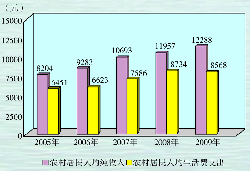农村居民收支（2009）