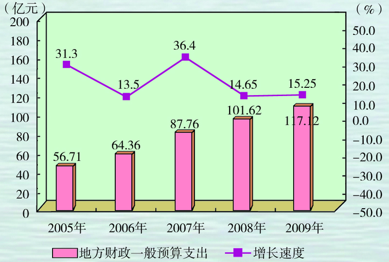 地方财政一般预算支出